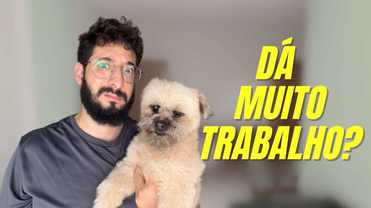 O que NUNCA te contaram sobre como é ser PAI de PET! 
