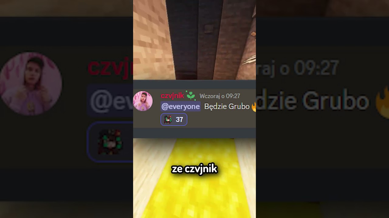 CZVJNIK OTWIERA SERWER MINECRAFT?