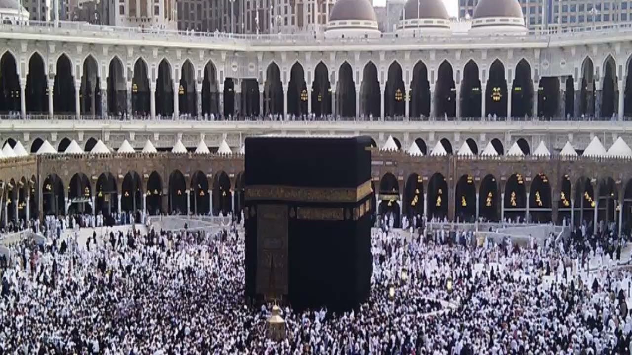 الشيخ امين محمد سورة الشورى 1