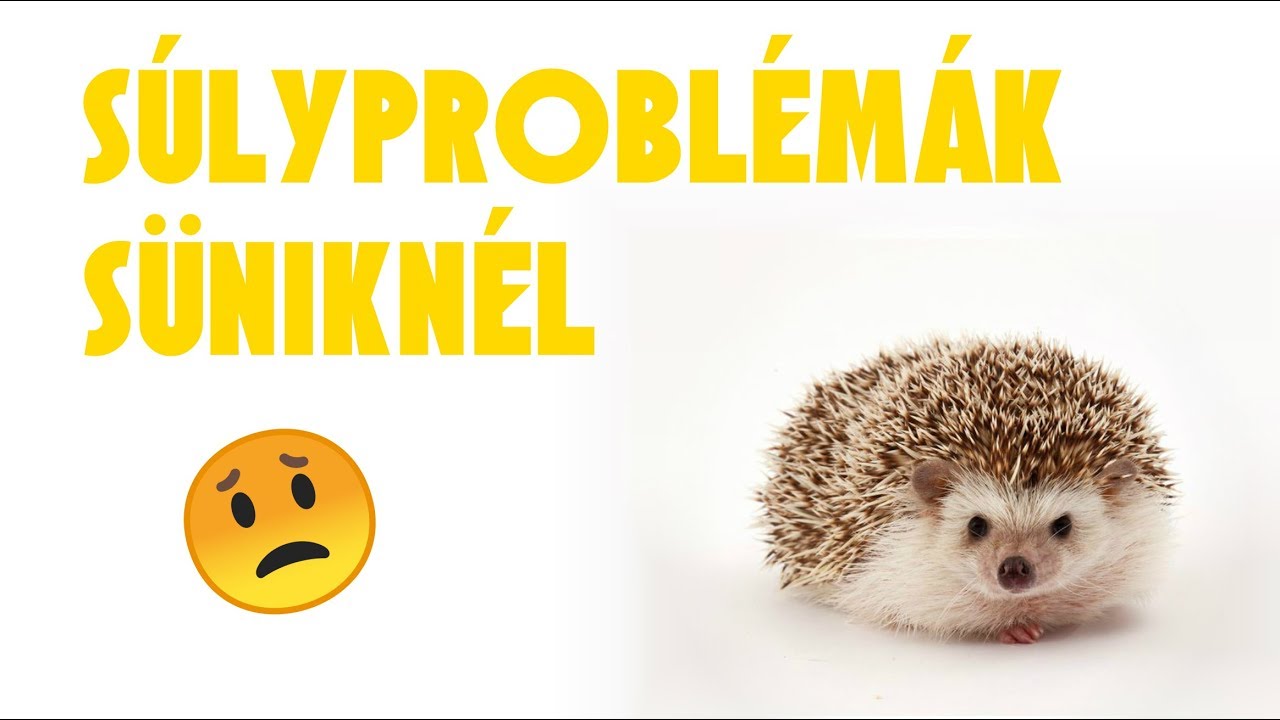 Súlyproblémák süniknél