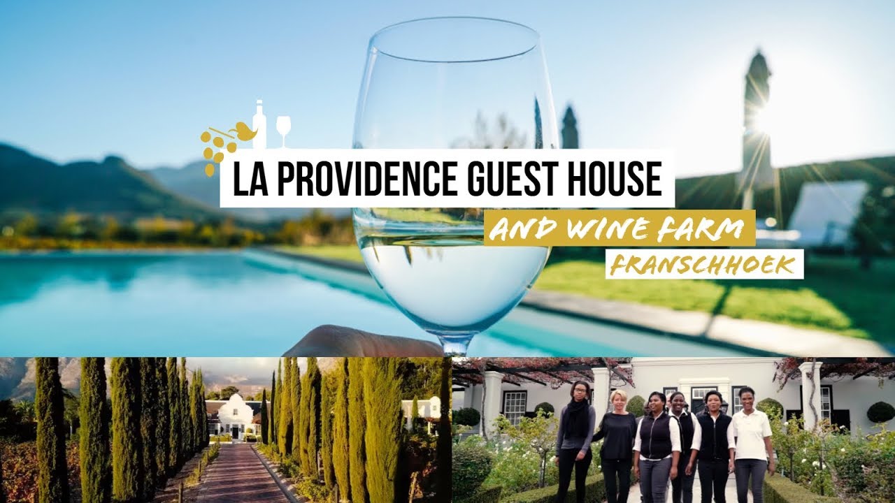 Franschhoek: La Providence Guest House & Wine Farm (Südafrika) Vineyard