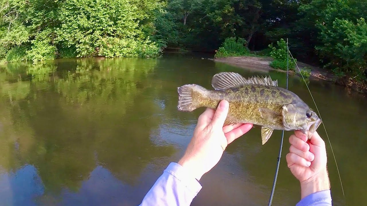 Fishing Heats Up May and June 2025