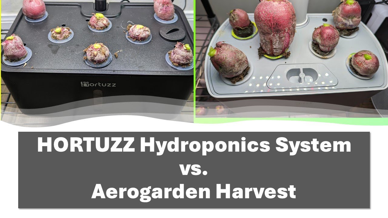 HORTUZZ Hydroponics System vs. Aerogarden Harvest (Radish experiment)