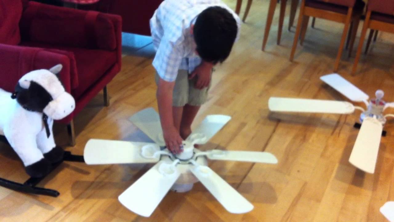 Nate's Ceiling Fan Collection