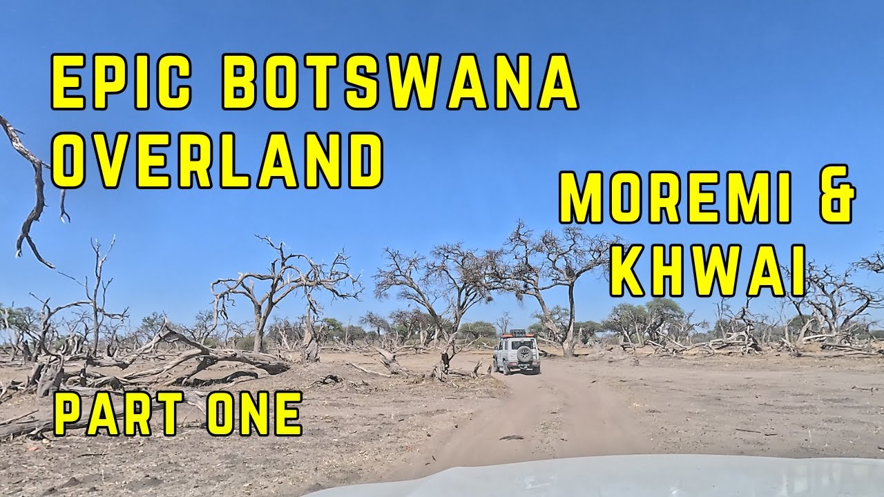 Overland Botswana Unforgettable Moremi Khwai wilderness safari #wildlife #overlanding #bird