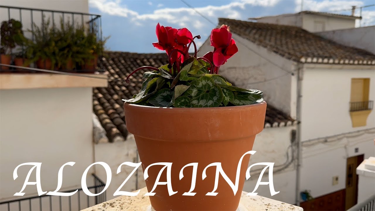 ALOZAINA. MÁLAGA. RESERVA DE LA BIOSFERA. SIERRA DE LAS NIEVES.  4K