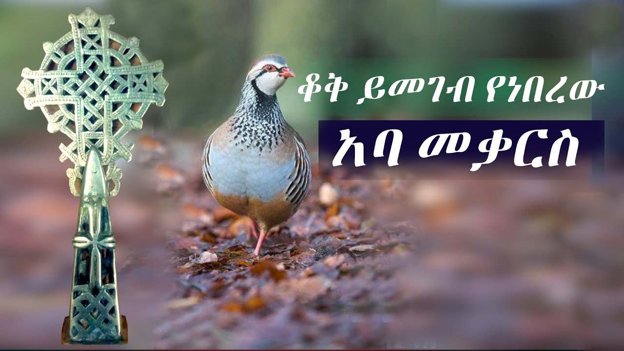 ቆቅ ይመገብ የነበረው አባ መቃርስ | የቅዱሳን ታሪክ | Aba Mekars | Yekidusan tarik