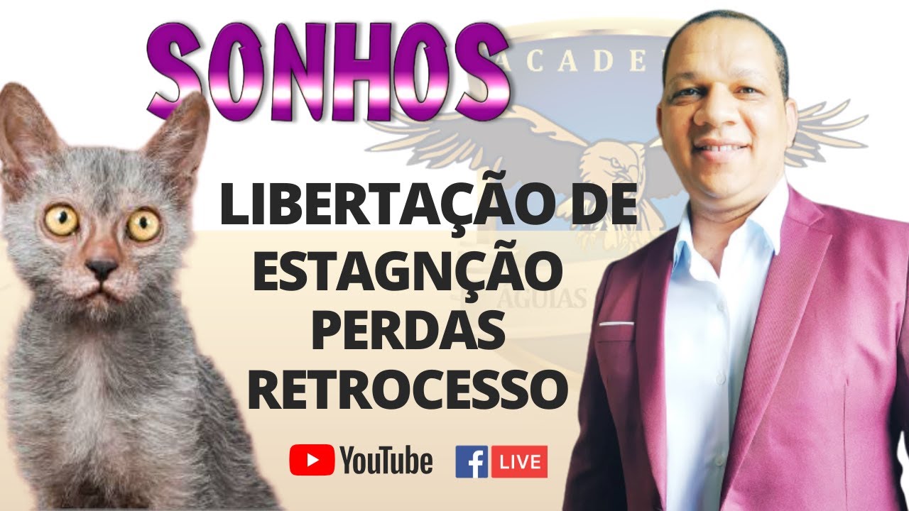 СОН О КОЛДОВСКОЙ КОШКЕ / ЗНАЧЕНИЕ И МОЛИТВА / МОЛИТВЕННЫЙ МАРАФОН, ДЕНЬ 20