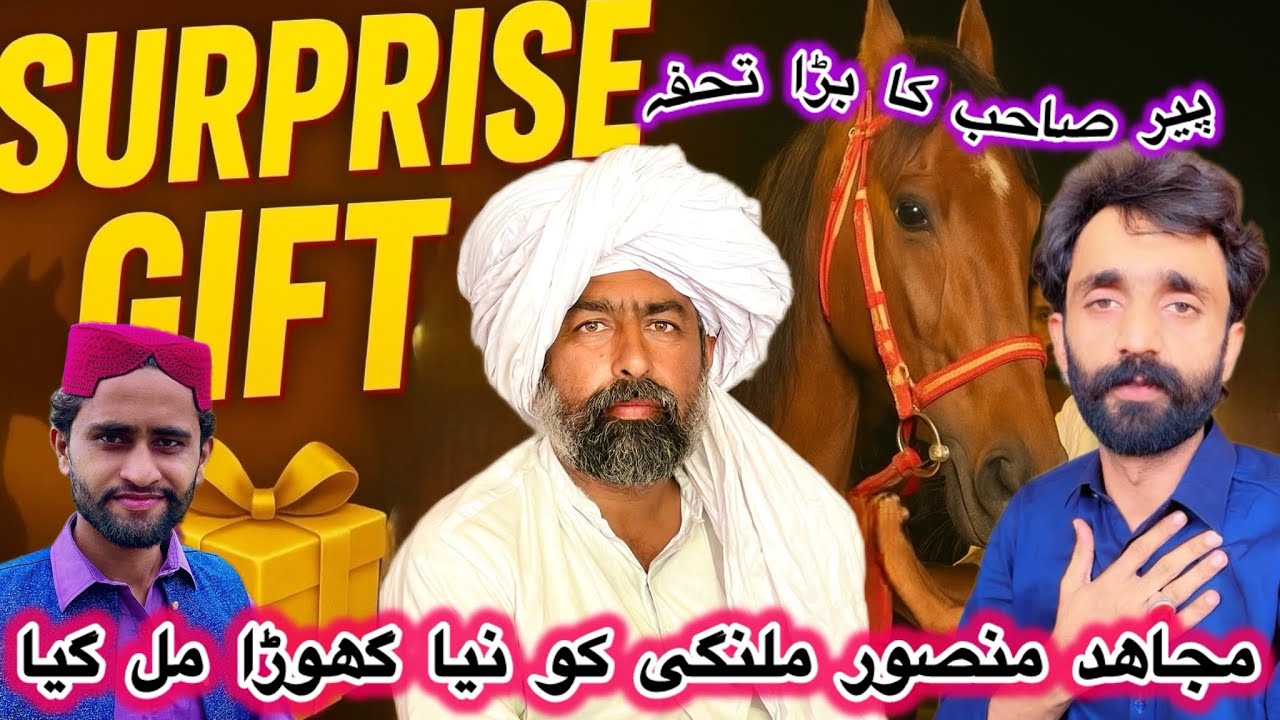 Mujahid Mansoor Malangi Ka New Horse Arrival 🐎 | Dilchasp Vlog”Baghdadi munda 