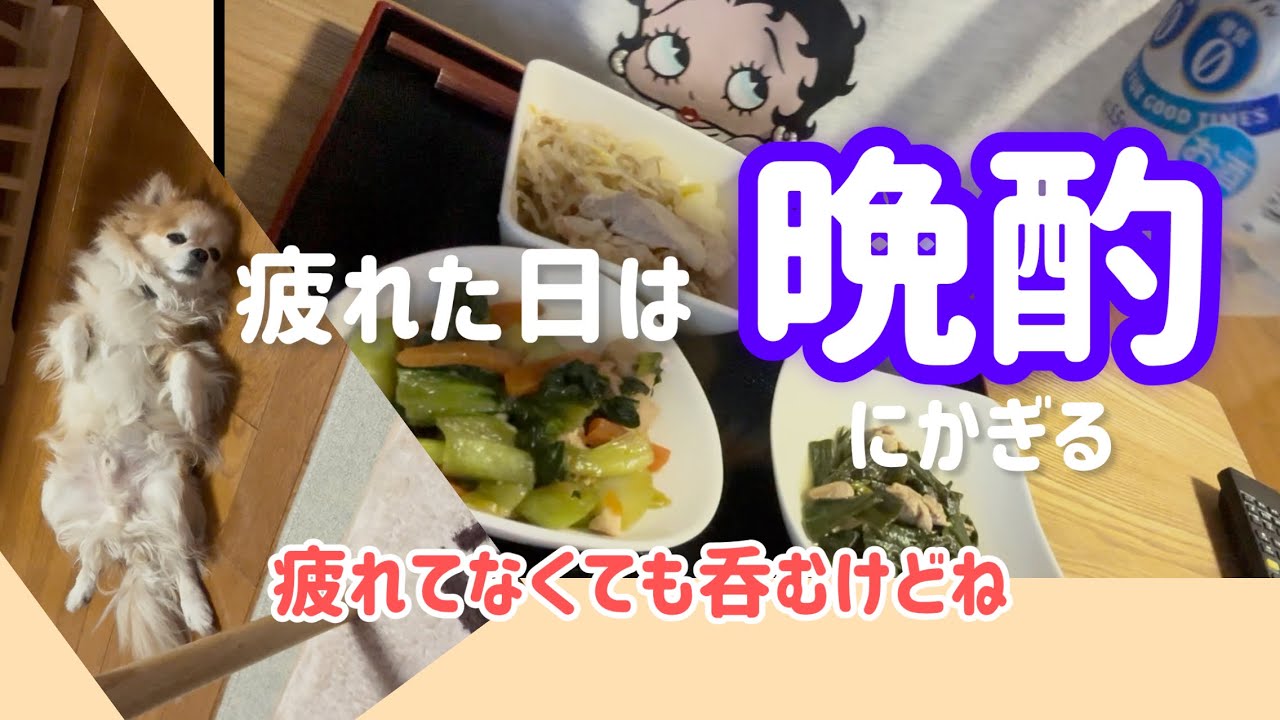 【酒飲み主婦の日常】生きてるし呑んでる 疲れた夜