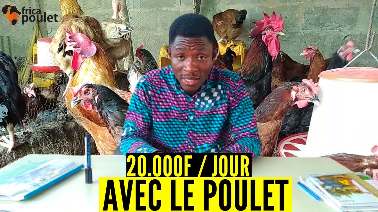 🔴 j'ai COMMENCE avec 100.000f à la MAISON sur notre dalle, MES 3 STRATEGIES (élevage de poulet)
