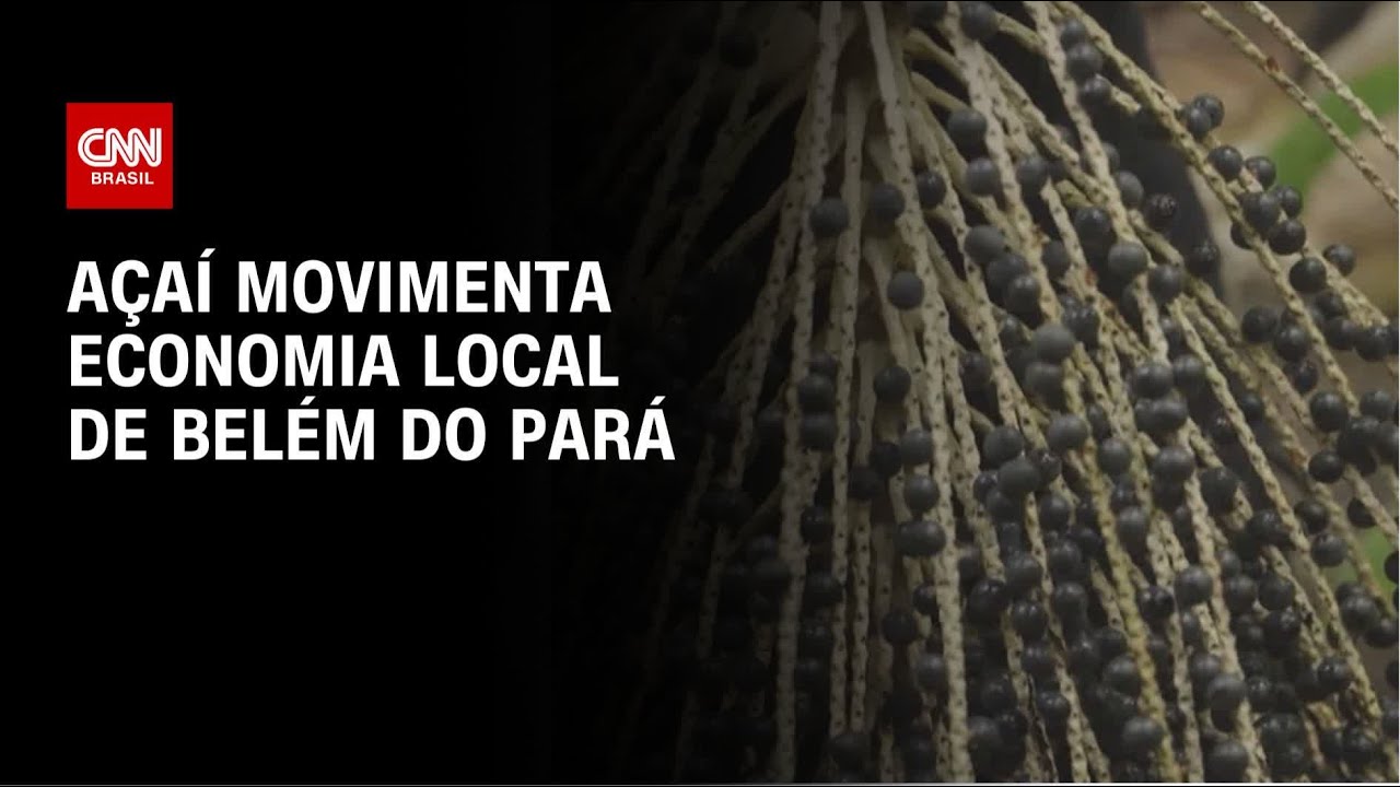 CNN na COP30: a&ccedil;a&iacute; movimenta economia local de Bel&eacute;m do Par&aacute; | CNN NOVO DIA