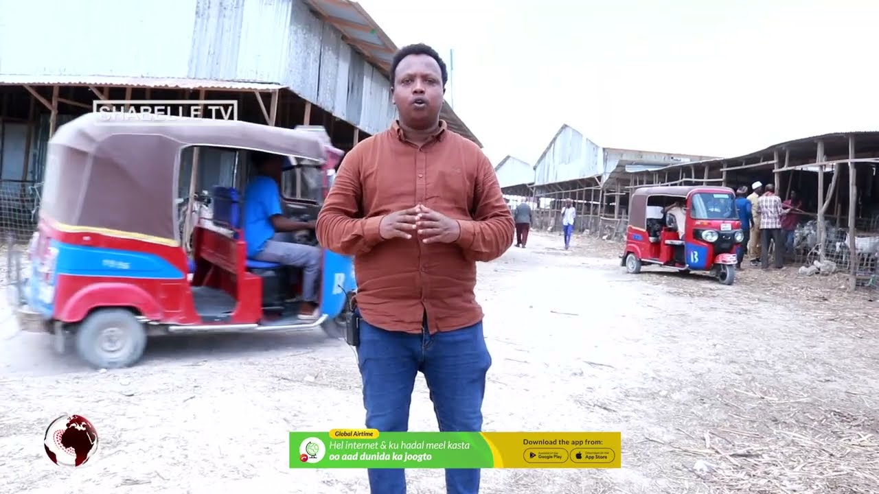 “Xoolihii coos ayey waayeen, waa dhimanayaan”.Suuqyada lagu iibiyo ariga ee Muqdisho oo laga...
