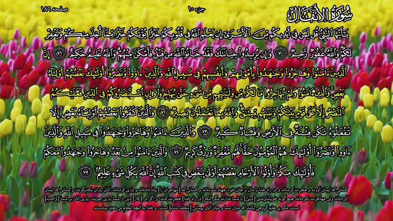 جزء ۱۰ - صفحه به صفحه - پرهیزگار