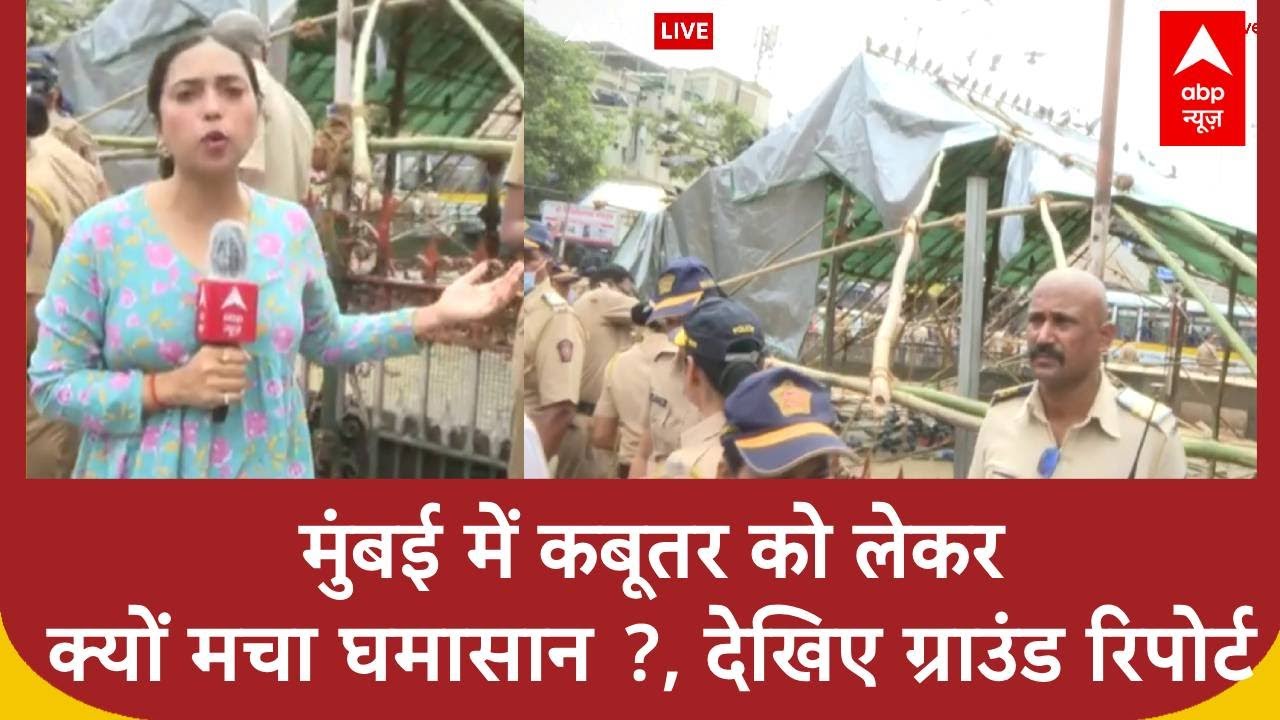 Mumbai में कबूतरखाने को लेकर क्यों छिड़ा है विवाद, Ground Report में समझिए पूरा मामला