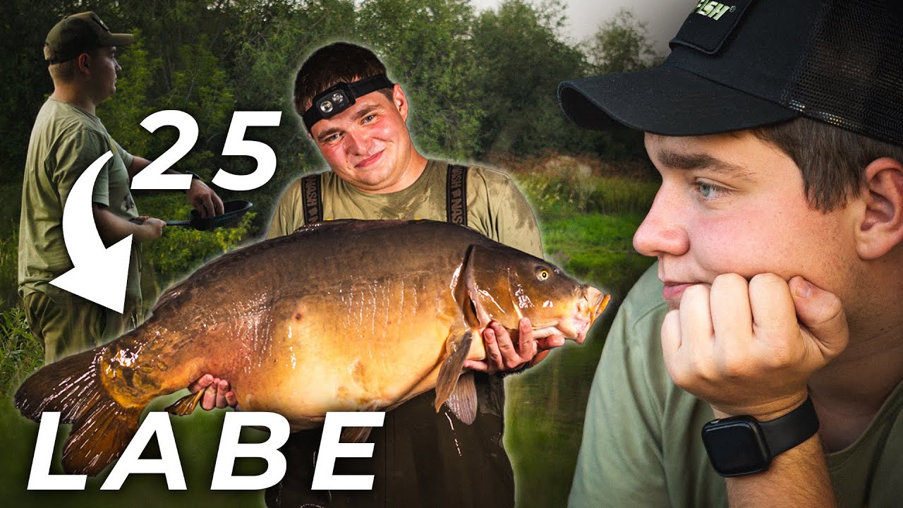 Obří kapr z Labe | Carp Fishing