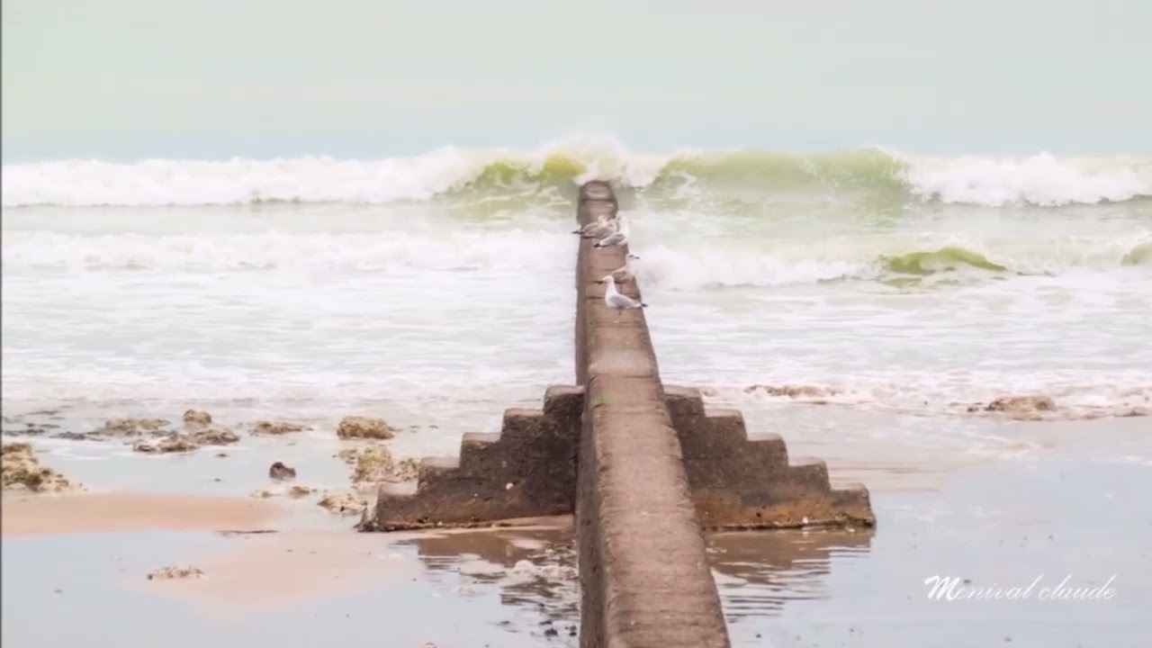 Le tréport le matin du 26 01 2026 sur la plage vidéo music