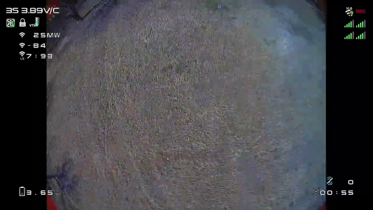 Kayoumini Tree Time