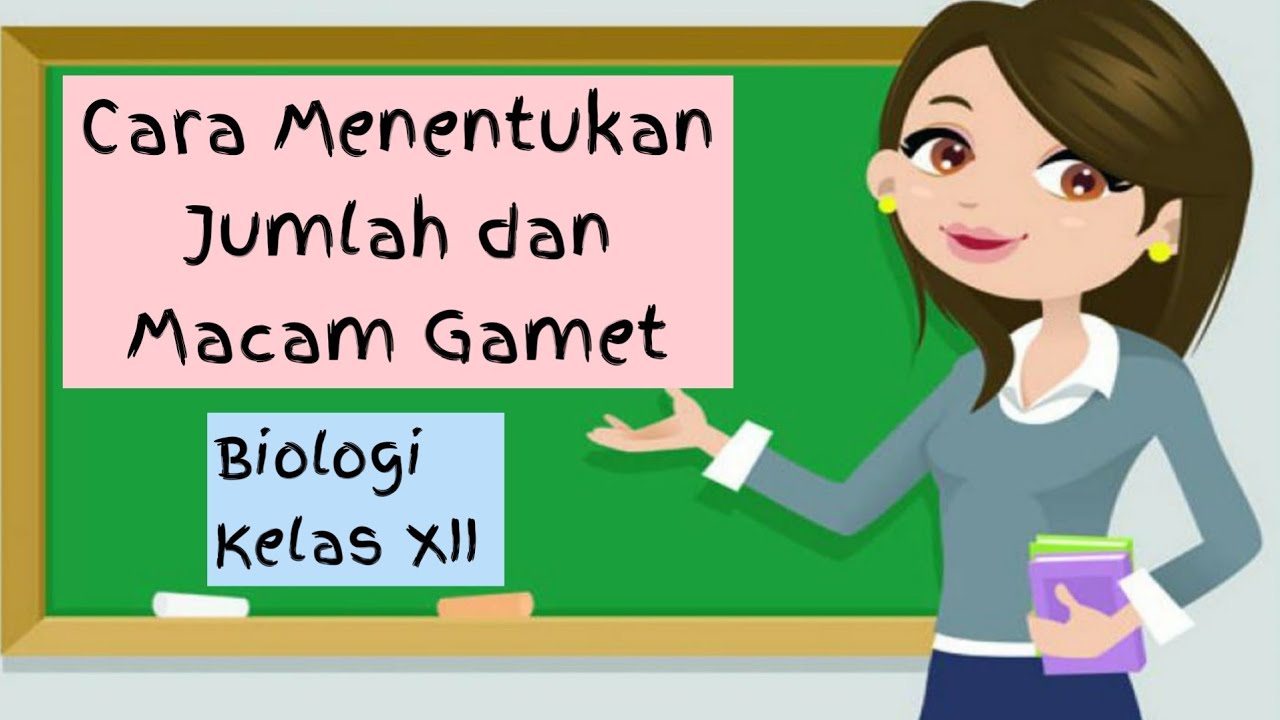 Jumlah Dan Macam Gamet Kelas 12 | Materi Biologi Genetika