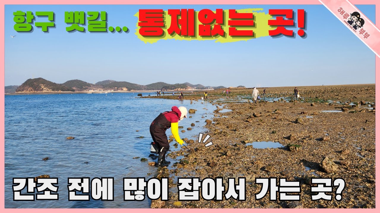 통제없는 항구 뱃길에 물빠지기 시작하면 모여드는 사람들로 시끌벅적 한 곳