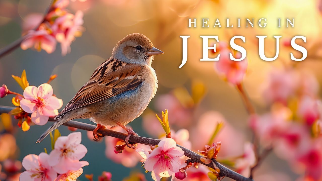 HEALING IN JESUS | Uplifting Bible Verses & Peaceful Worship Piano | Christian Harmonies