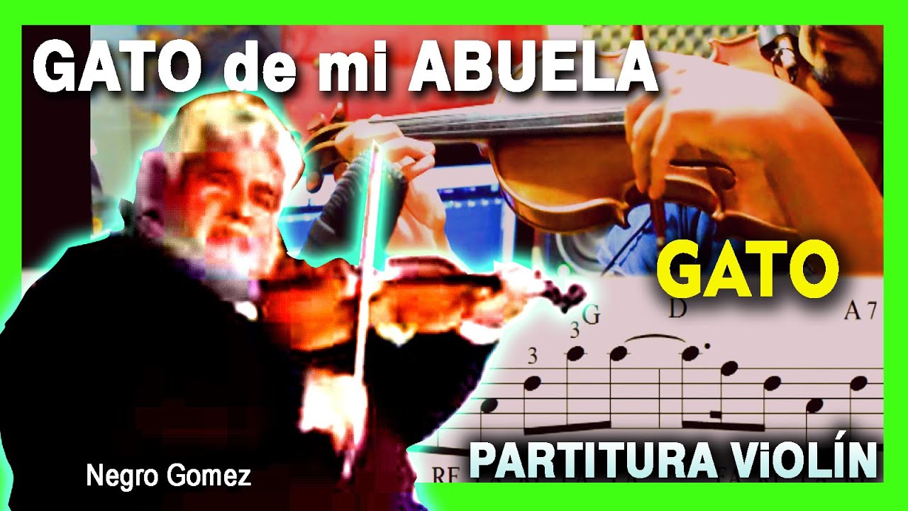 Tocar el GATO DE MI ABUELA en VIOLIN /TUTORIAL PARTITURA
