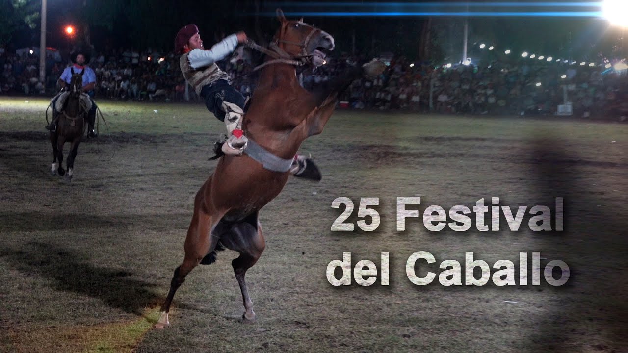 335 25 Festival del Caballo, San Rafael (Mendoza) - Estancias y Tradiciones