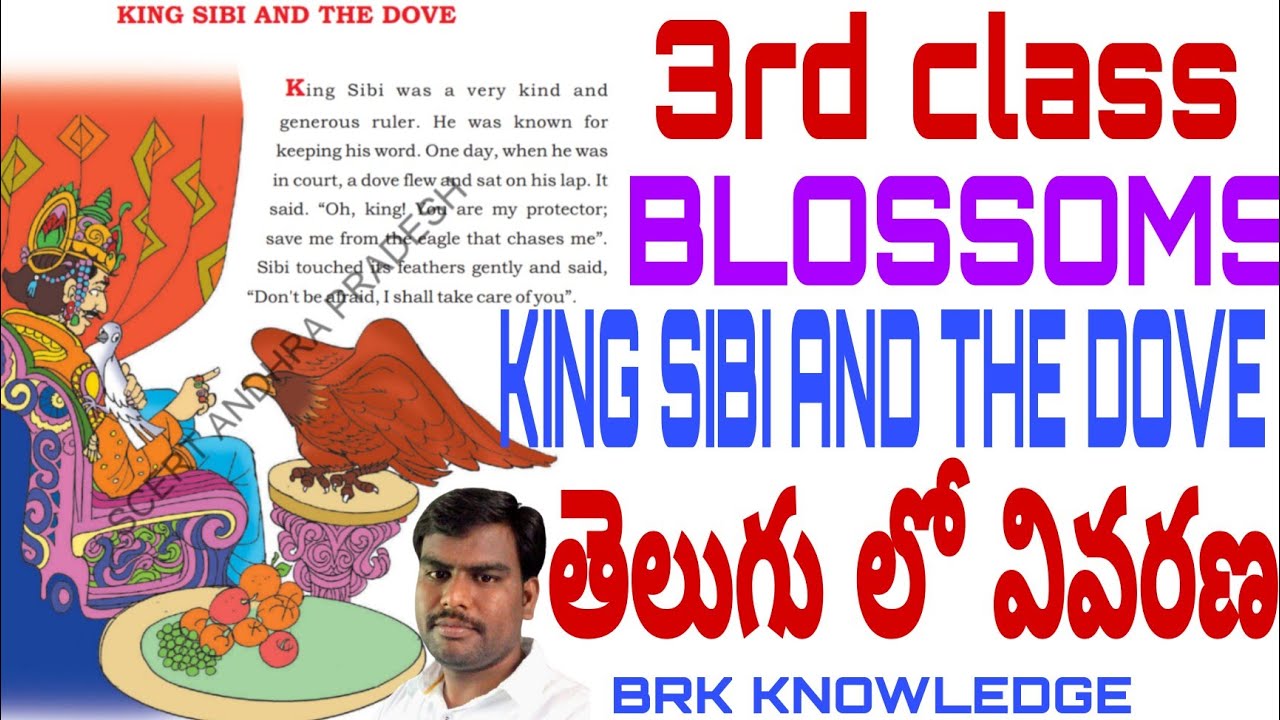 3rd class English  KING SIBI AND THE DOVE LESSON EXPLANATION TELUGU