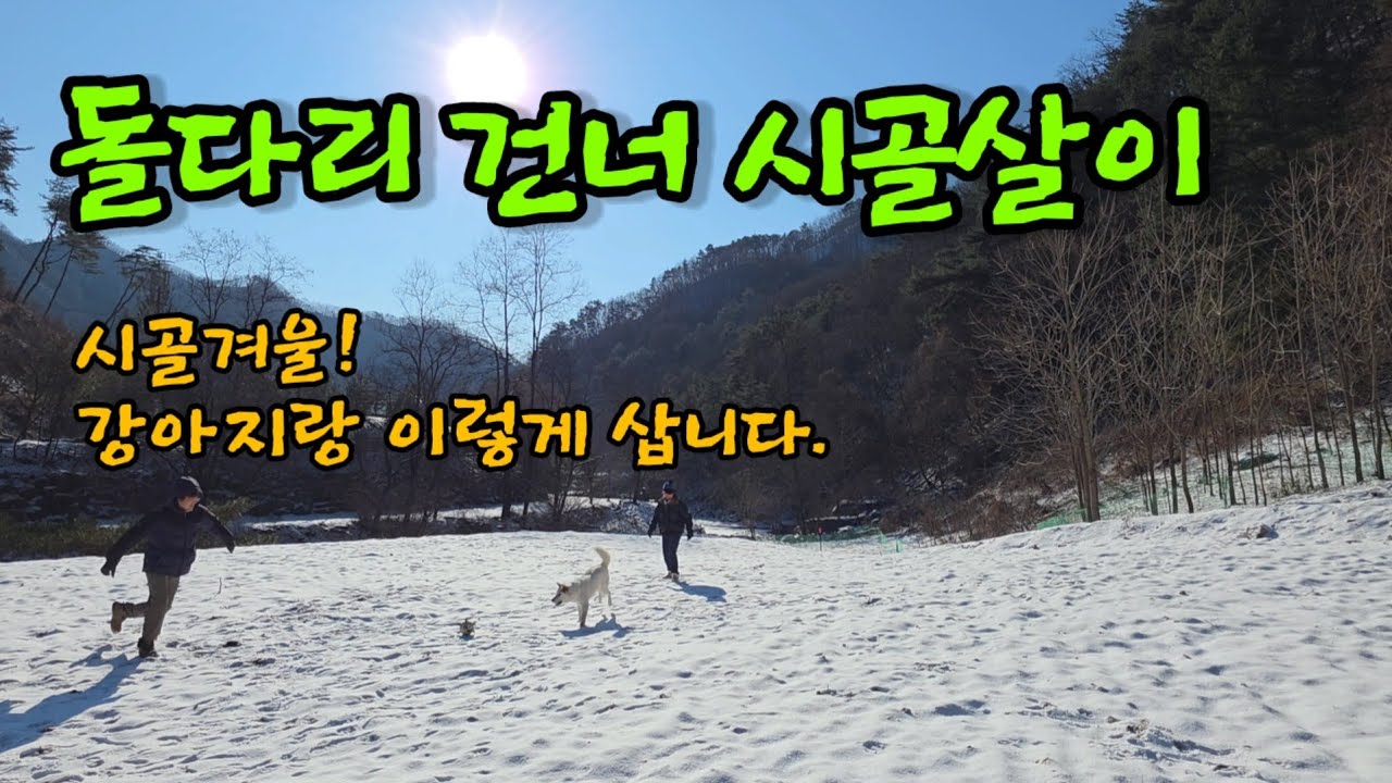 견사를 만들어야 했어요ㅣ개밥그릇 거치대 만들기 ㅣ눈치우기 ㅣ눈밭에서 공놀이 ㅣ숯불에 고등어구이