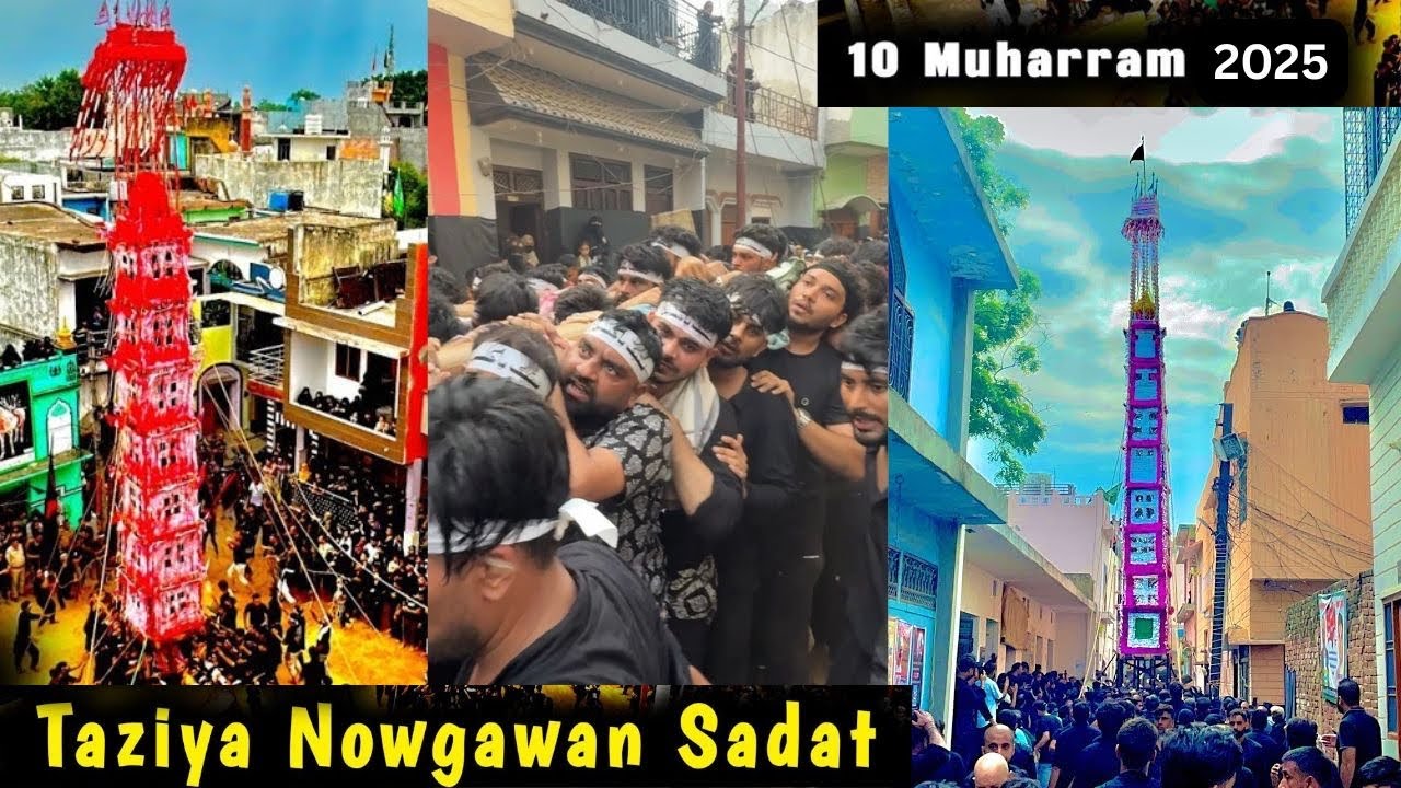 10th Muharram Naugawan Sadat Azadari Tajiya video #azadari #muharram #noha