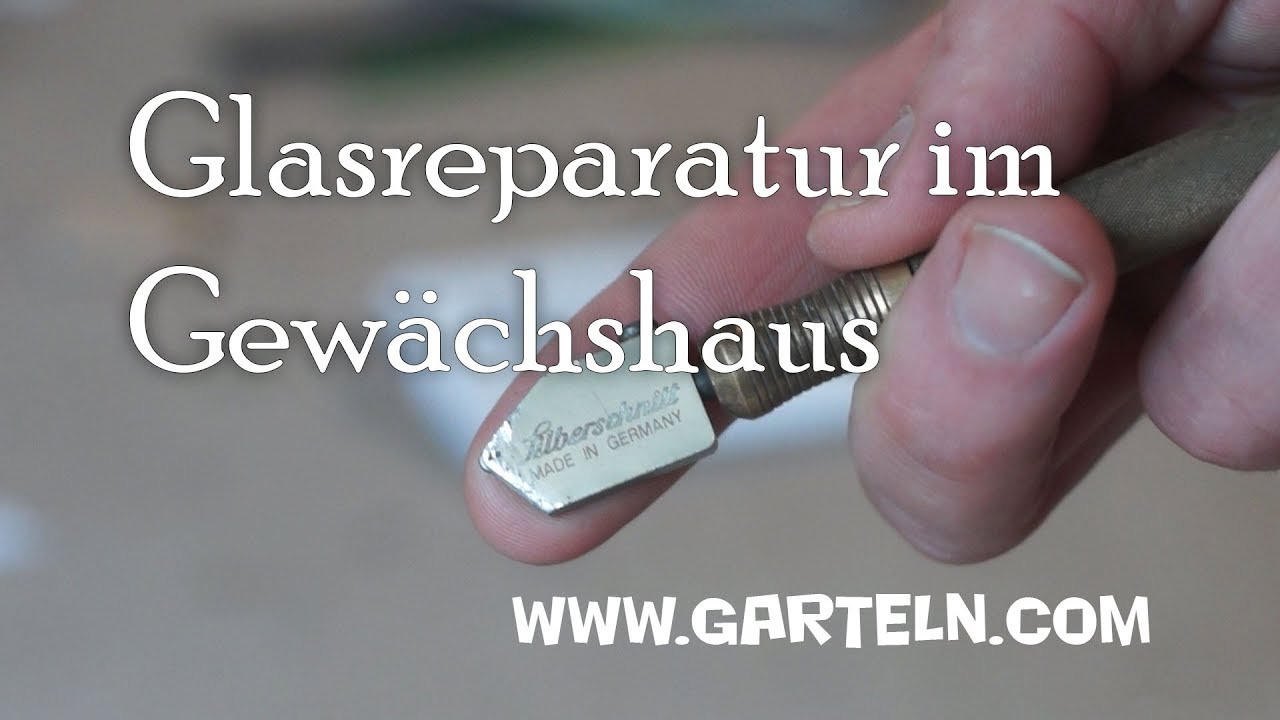 Reparatur im Gewächshaus - Glasplatten schneiden