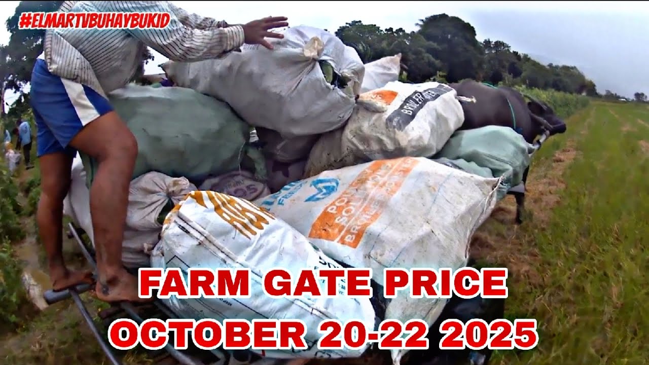 FARM GATE PRICE OCTOBER 20-22 2025