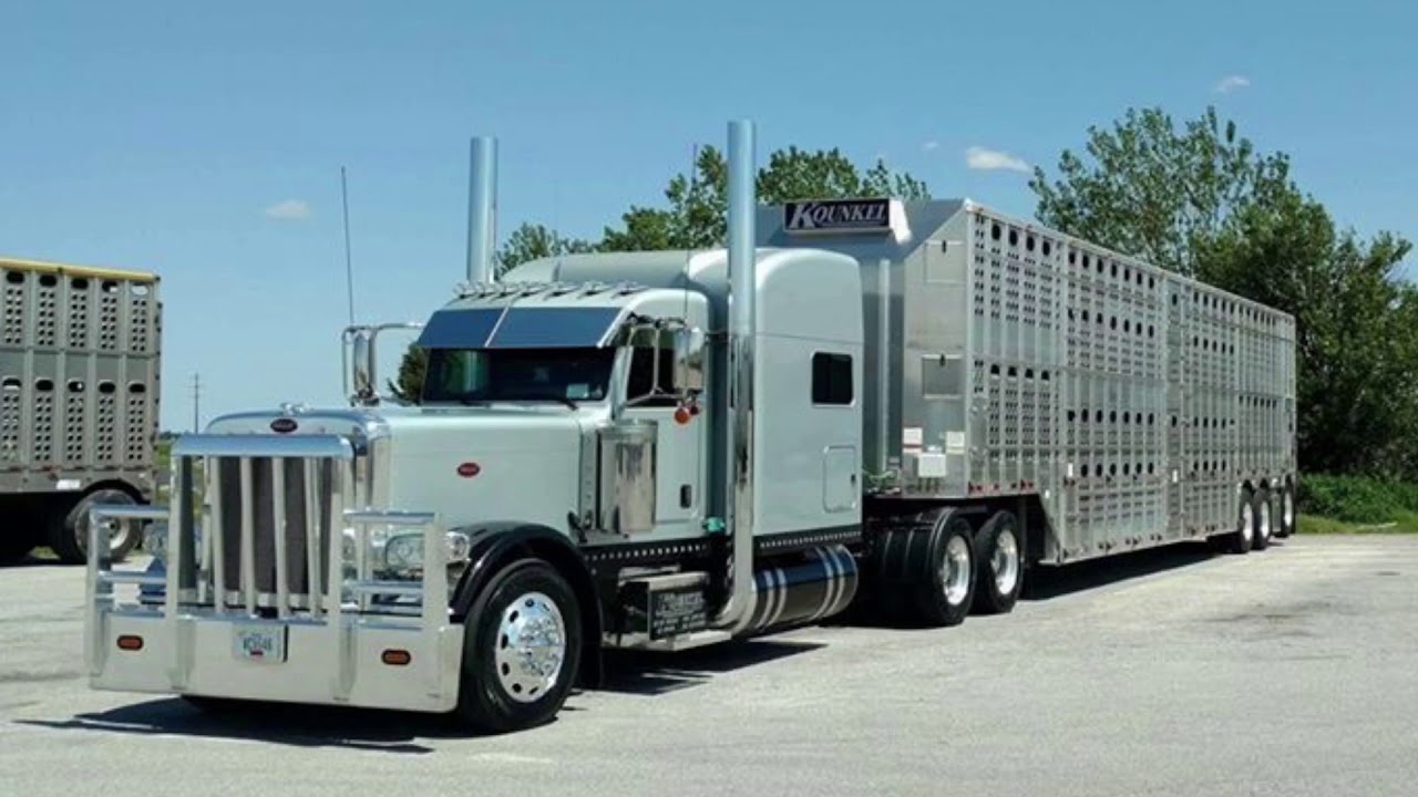Cattle Haulers Of America #3