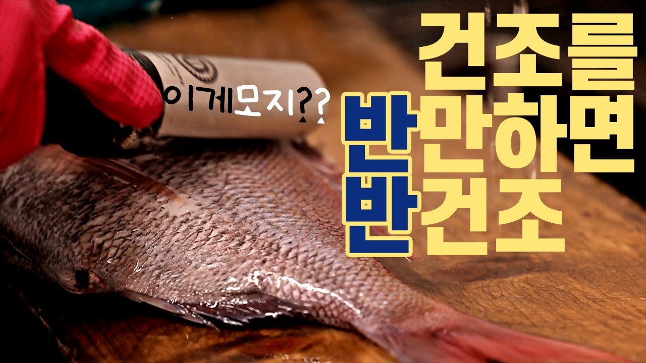 반건조 생선 만드는 과정, 반건조 생선 구이 🐟