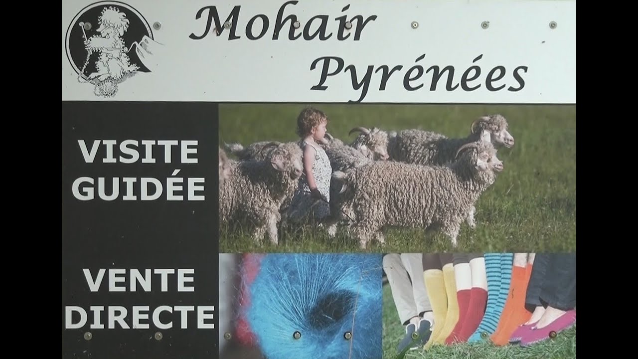 Le Mohair et sa fabrication en Ariège août 2020