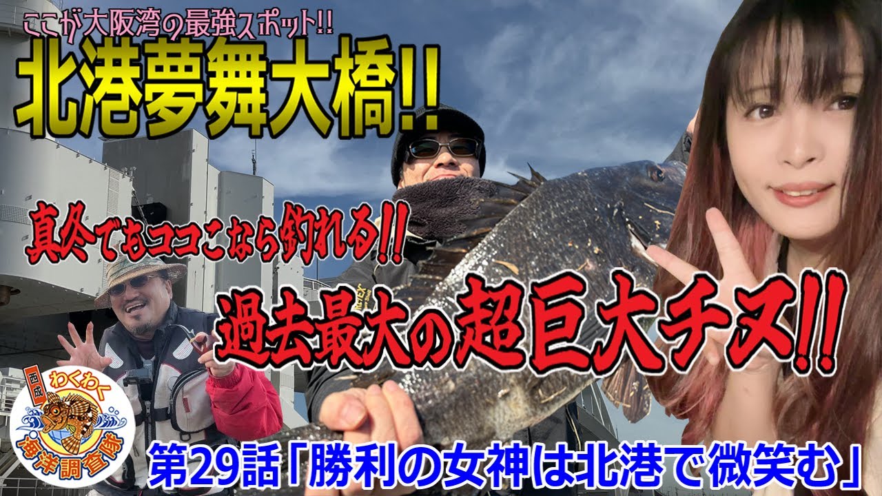 【北港夢舞大橋】真冬でもココなら絶対釣れる!!調査史上最大の巨大チヌ!!第29話「勝利の女神は北港で微笑む」