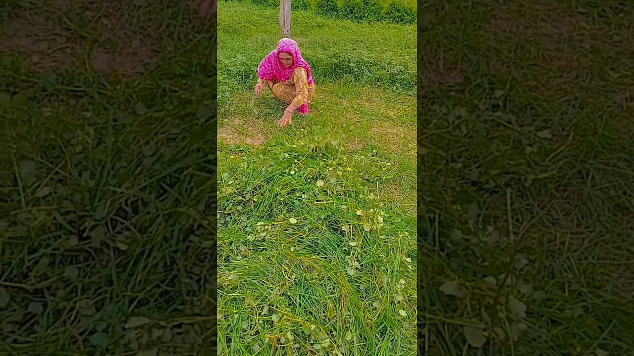 Makha Mari riss tu k karega ll#video #vlog #virals #music #hiphop