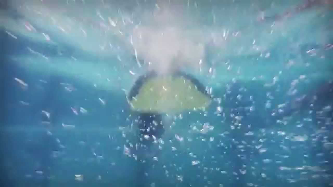 Nataci&oacute;n con Aletas: Copa del Mundo Barcelona 2015 - Finswimming World Cup 2015