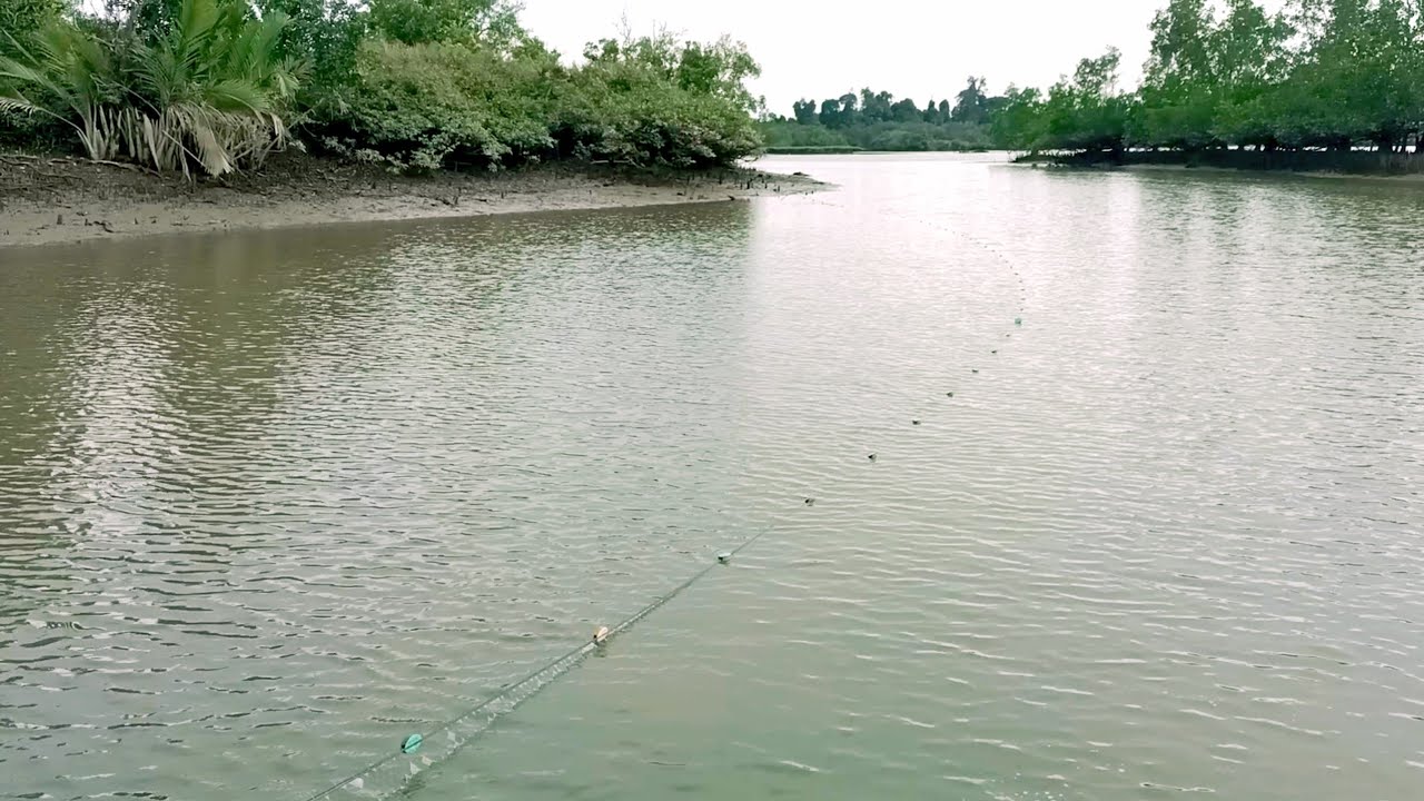 RATUSAN IKAN MENABRAK JARING PADAHAL TEMPATNYA KECIL || REZEKI PASANG JARING DI SUNGAI
