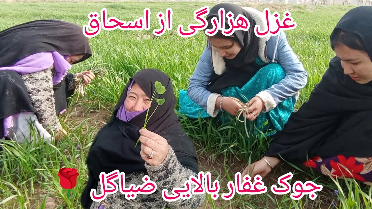 وبلاگ امروزی ما غزل هزارگی از اسحاق و جوک غفار بالایی ضیاگل 🌹🌹🌹🌹💗😂