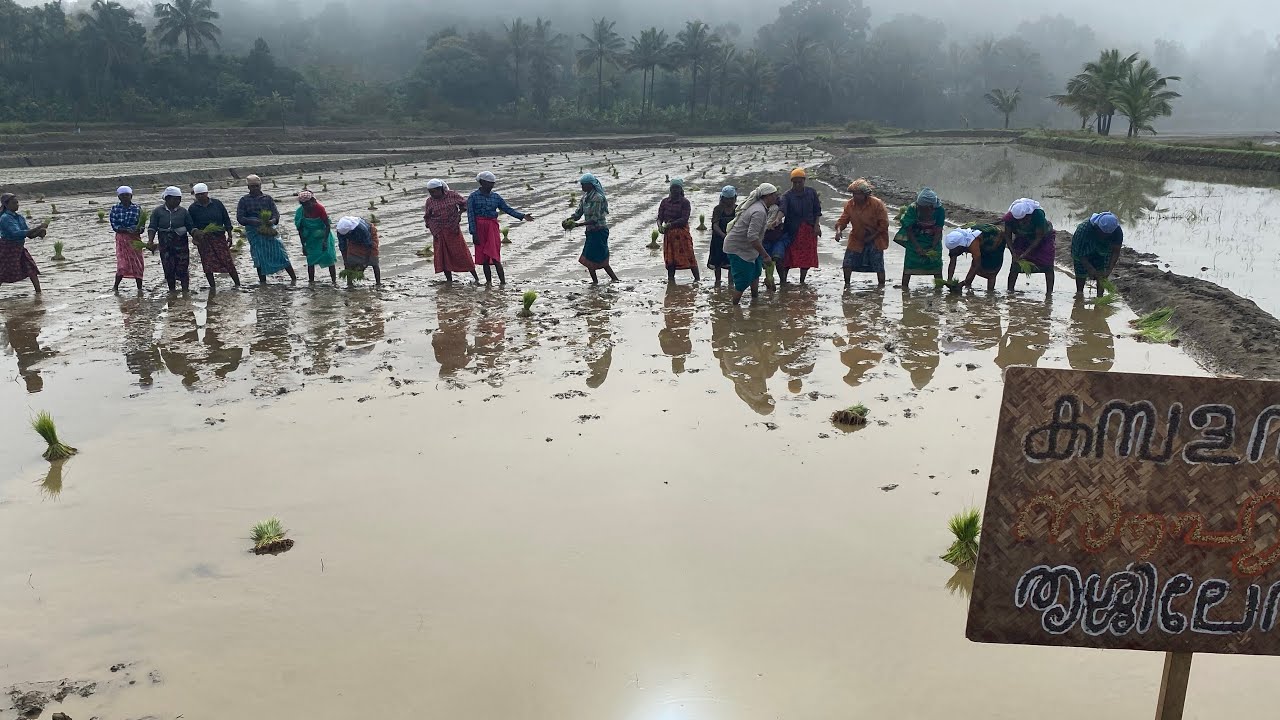 Kambala Natti 2022-23