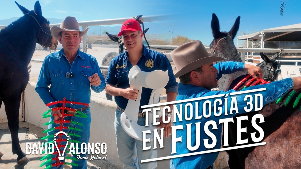 ¿Conoces la Tecnología 3D en Fustes?