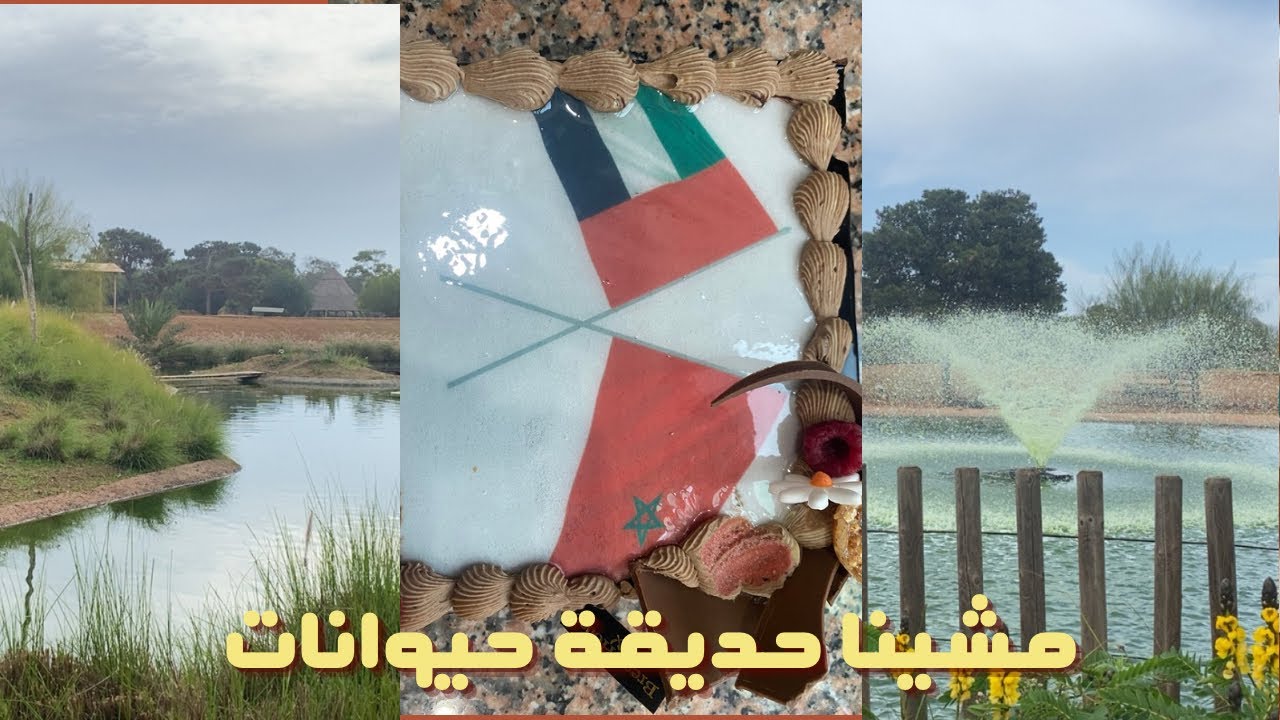 جولة في حديقة الحيوانات بالرباط 🇲🇦