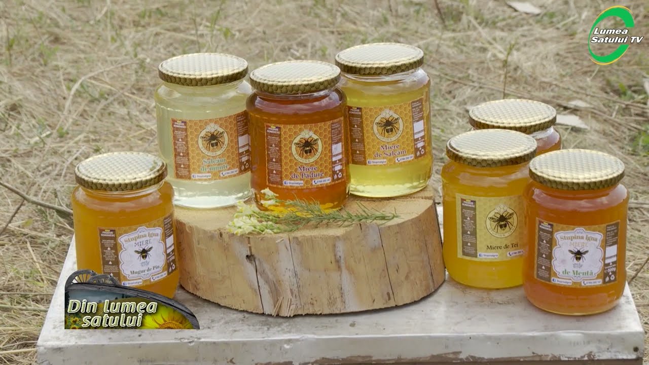 Profit și investiție într-o stupină cu 300 de stupi