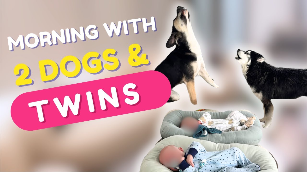 spend the morning with our 2 dogs and twins!
