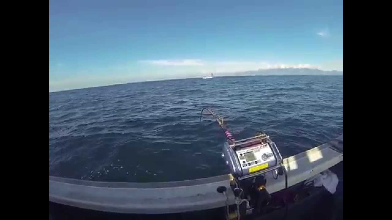 2014 06 08　伊東港　政一丸　大島金目　アコウ＆2kgキンメの提灯行列