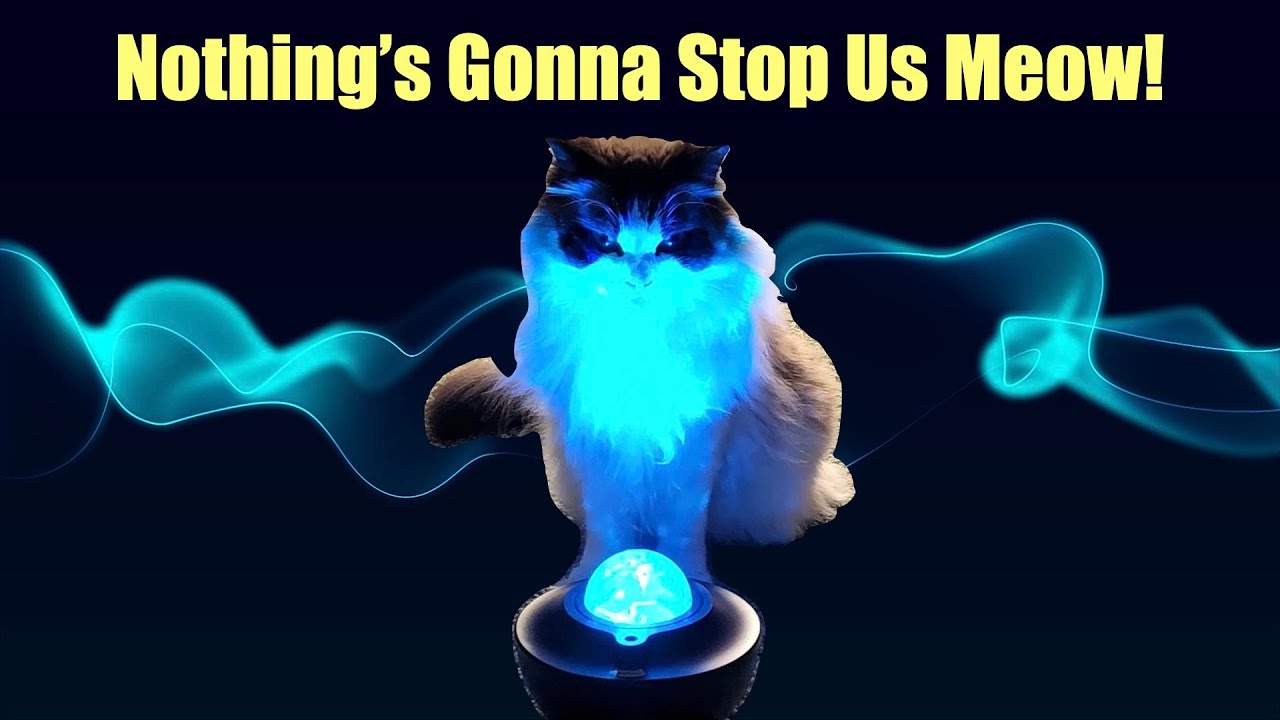 Nothing's Gonna Stop Us Now - not by Starship this time, but CATS! Parody Song.