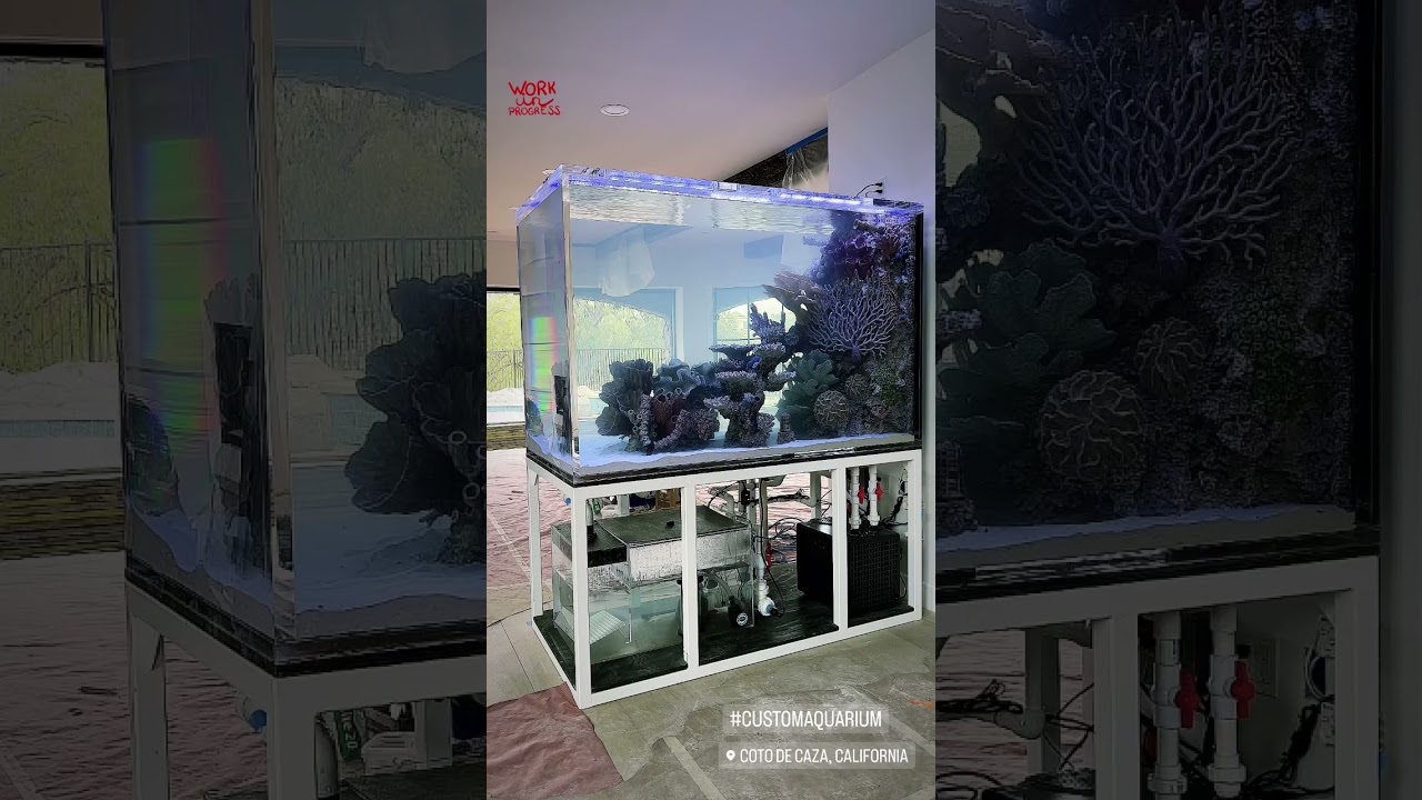 540g Peninsula Saltwater Aquarium up and running! Fish coming soon&hellip;