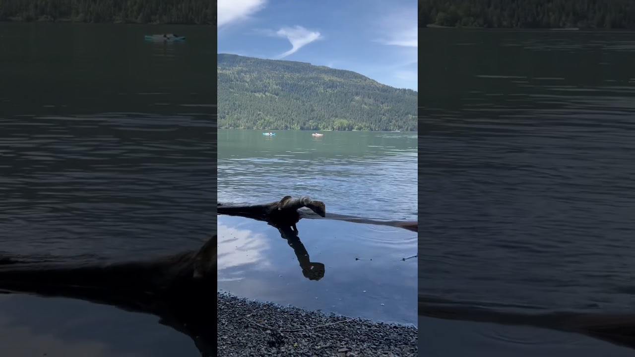 Amazing Lake