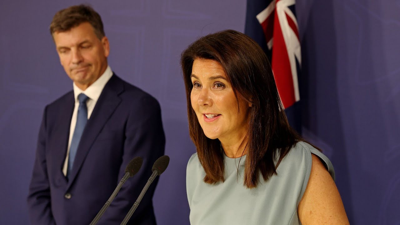 &lsquo;No sugar coating it&rsquo;: Jane Hume reacts to Liberals&rsquo; &lsquo;devastating&rsquo; SA election result